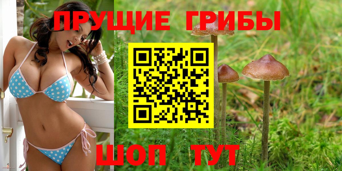 Пушкино  Галлюциногенные грибы MAGIC MUSHROOMS  Вход с VPN 